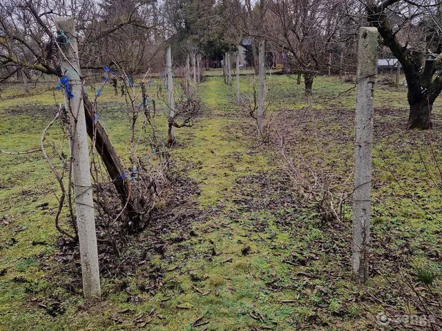 Eladó ház Gyömrő, Máriatelep, kossuth ferenc 15 150 nm