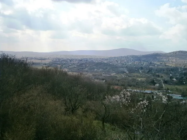 Eladó telek Pomáz, Pomáz-Susnyár 7565 nm