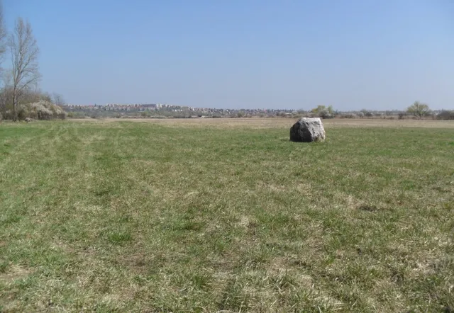 Eladó mezőgazdasági ingatlan Pomáz 100000 nm