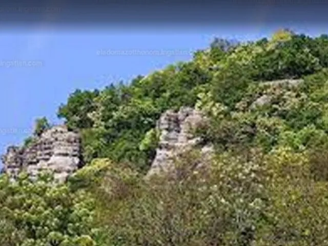 Eladó mezőgazdasági ingatlan Pomáz, Kőhegy 115000 nm