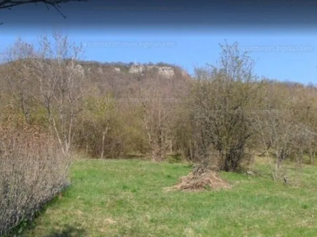 Eladó mezőgazdasági ingatlan Pomáz, Kőhegy 115000 nm