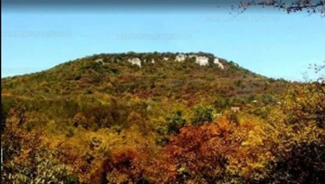 Eladó mezőgazdasági ingatlan Pomáz, Kőhegy 115000 nm