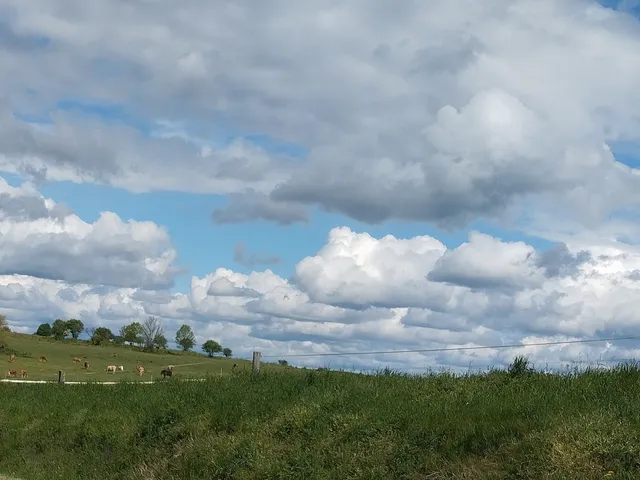 Eladó ház Bakonyjákó 97 nm