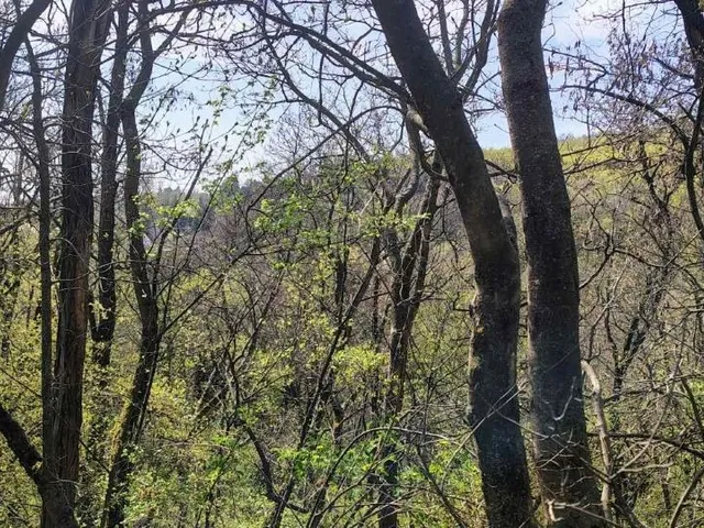 Eladó telek Leányfalu 915 nm