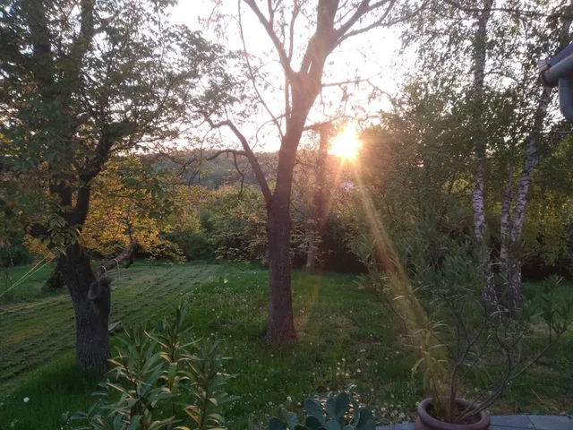 Eladó telek Orfű, Fő utca 1700 nm