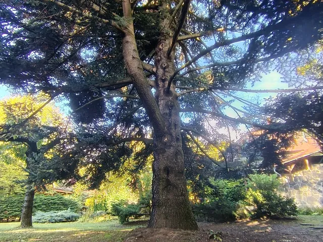 Eladó ház Pilisszentkereszt 100 nm