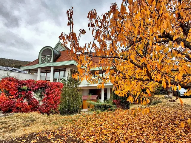 Eladó ház Pécs, Mecsekoldal 240 nm