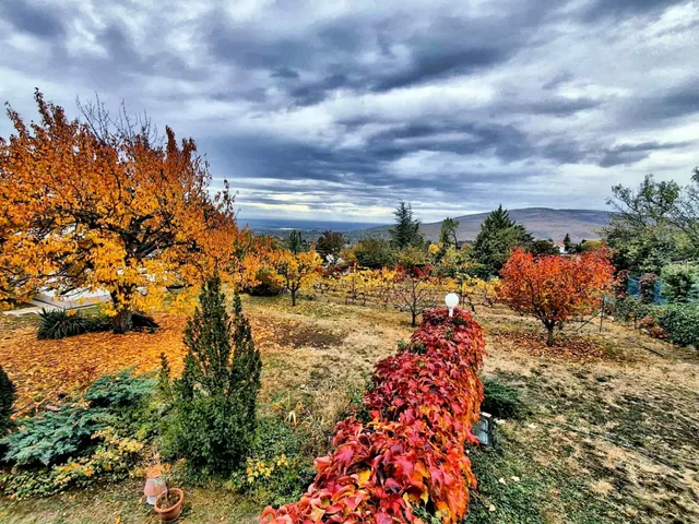 Eladó ház Pécs, Mecsekoldal, Sziklás dűlő 240 nm