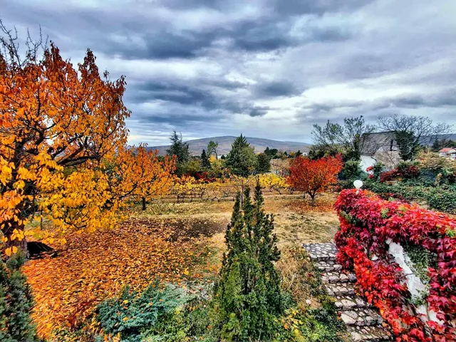 Eladó ház Pécs, Mecsekoldal, Sziklás dűlő 240 nm
