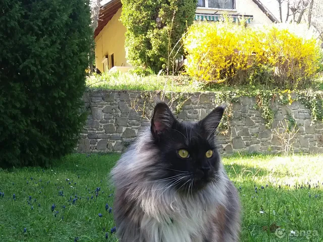 Eladó üdülő és hétvégi ház Tihany 100 nm