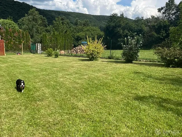 Eladó telek Kemence 556 nm