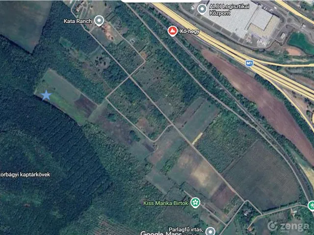 Eladó mezőgazdasági ingatlan Törökbálint 140 nm