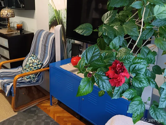 Eladó lakás Budapest XI. kerület, Kelenföld 50 nm