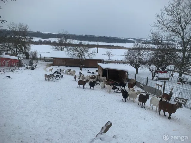 Eladó üdülő és hétvégi ház Dág 36 nm