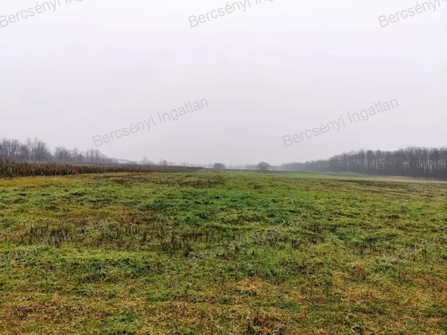 Eladó telek Alsónémedi 45932 nm