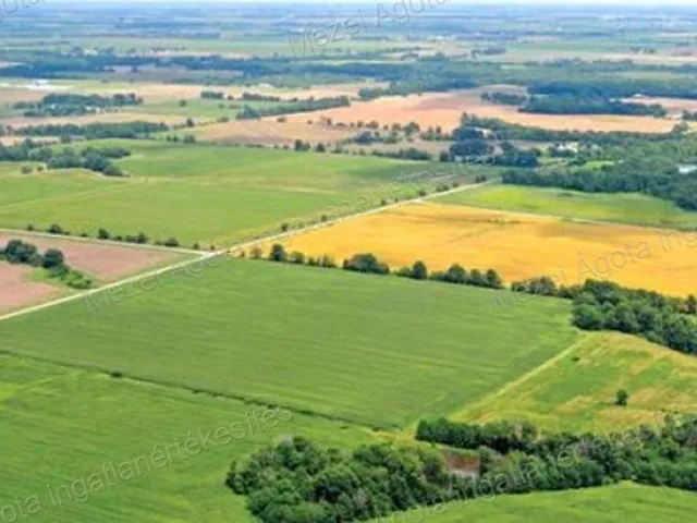 Eladó telek Alsónémedi 45932 nm