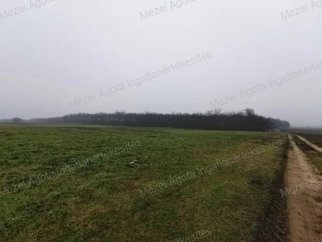 Eladó telek Alsónémedi 45932 nm