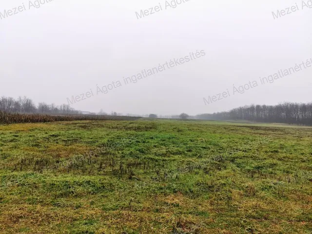 Eladó telek Alsónémedi 45932 nm