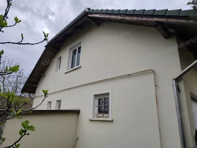 Eladó ház Vecsés 315 nm