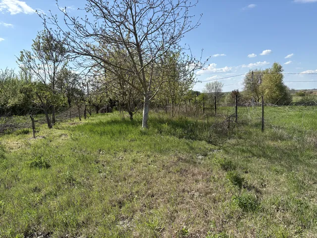 Eladó telek Makád 1313 nm