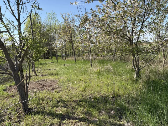 Eladó telek Makád 1313 nm