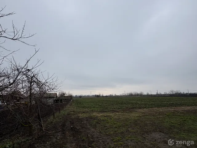 Eladó mezőgazdasági ingatlan Hajdúszoboszló 12000 nm