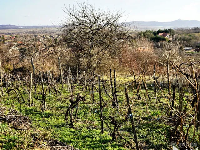 Eladó telek Nyúl 1425 nm