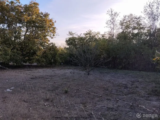 Eladó telek Csikéria 1798 nm