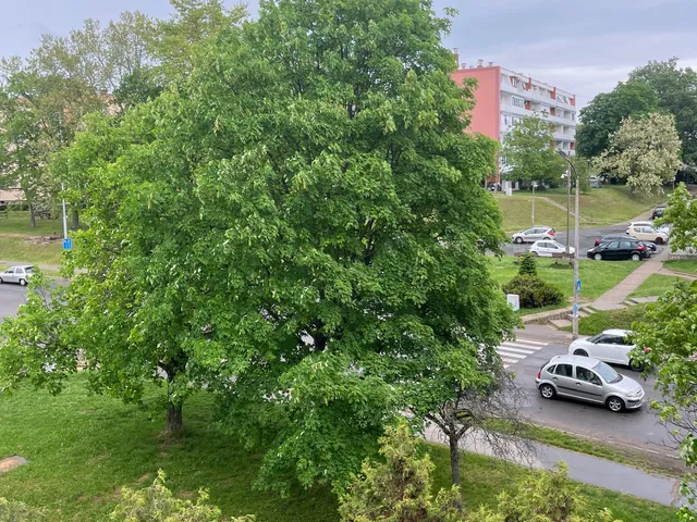 Eladó lakás Komló, Szilvás 69 nm