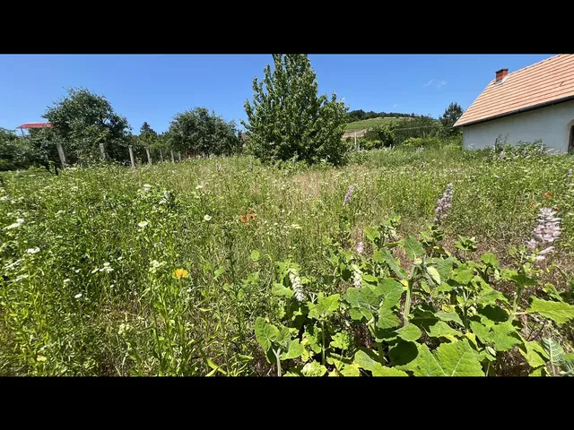 Eladó telek Pécs, Kodó 1224 nm