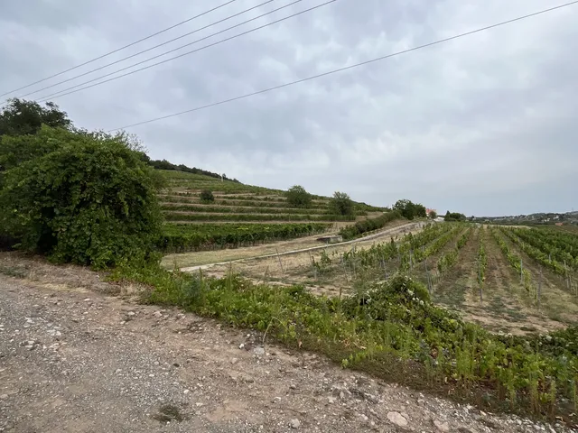 Eladó telek Pécs, Kodó 730 nm