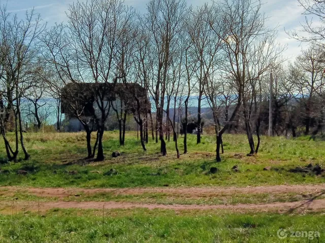 Eladó telek Balatonalmádi, Öreghegy 1259 nm
