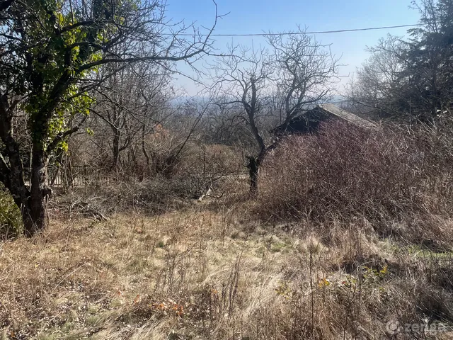 Eladó telek Szentendre 540 nm