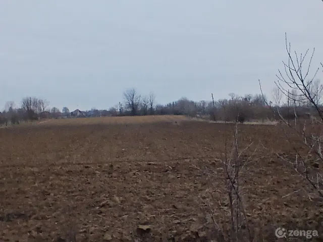 Eladó telek Biri 4000 nm