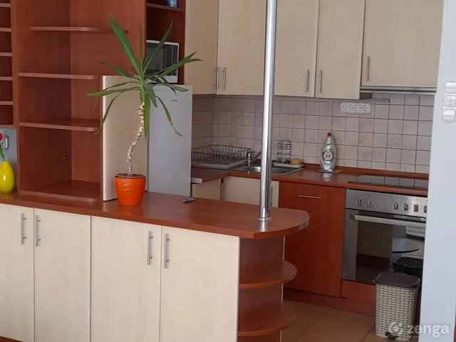 Kiadó lakás Budapest XIV. kerület 46 nm