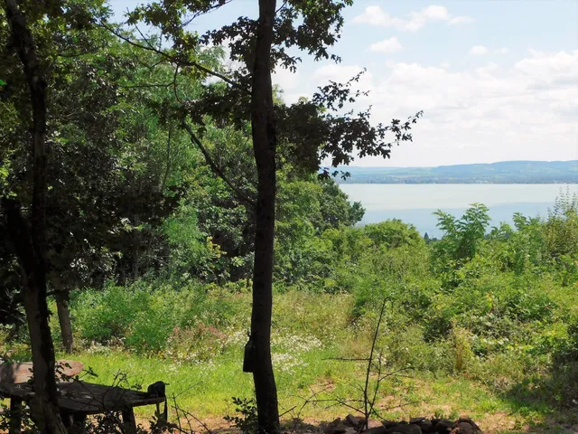 Eladó mezőgazdasági ingatlan Révfülöp 50308 nm