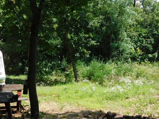 Eladó mezőgazdasági ingatlan Révfülöp 50308 nm