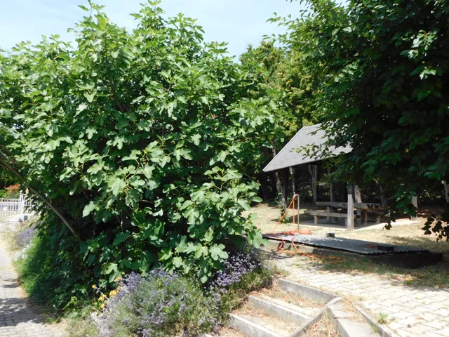 Eladó ház Vonyarcvashegy 83 nm