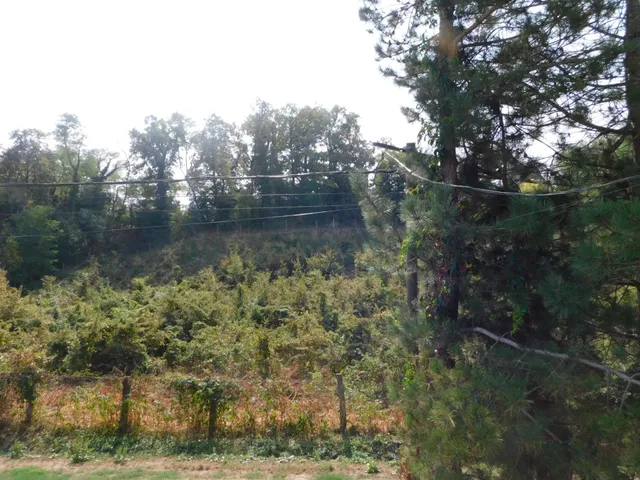 Eladó ház Zalakaros 300 nm