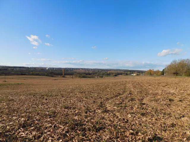 Eladó mezőgazdasági ingatlan Keszthely 1137 nm