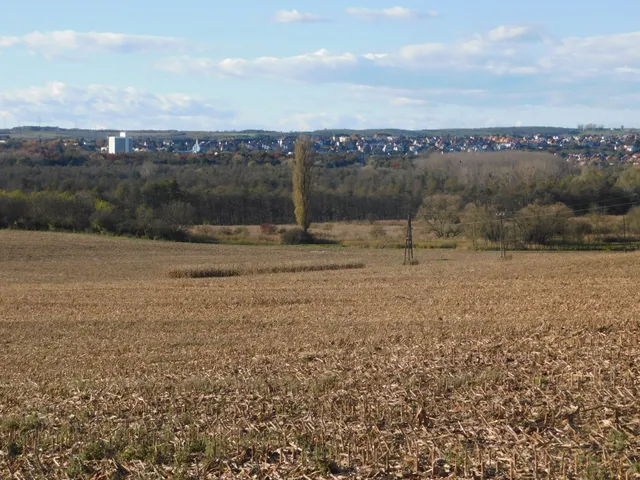 Eladó mezőgazdasági ingatlan Keszthely 1137 nm