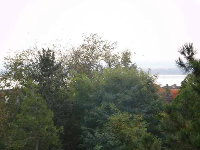 Eladó telek Vonyarcvashegy 2333 nm