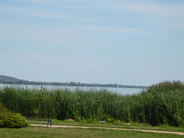 Eladó kereskedelmi és ipari ingatlan Keszthely 250 nm