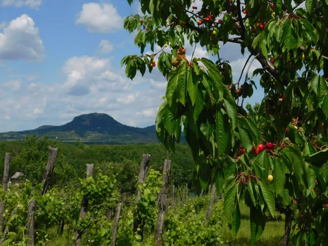 Eladó üdülő és hétvégi ház Kisapáti 40 nm