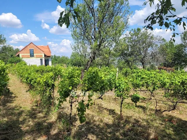 Eladó ház Balatonalmádi, Újhegy 137 nm