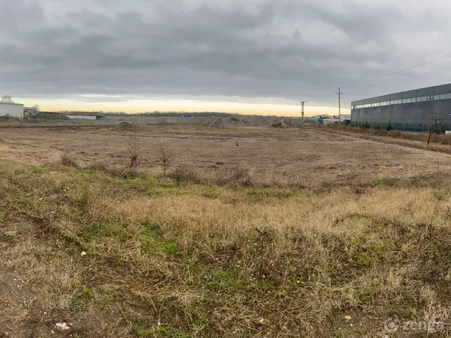 Kiadó kereskedelmi és ipari ingatlan Vecsés, Felsőhalom, Széchenyi utca 2210 nm