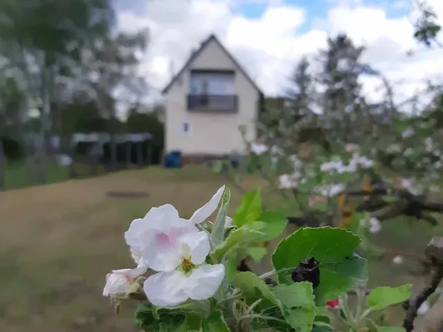 Eladó ház Ráckeve, Újtelep 80 nm