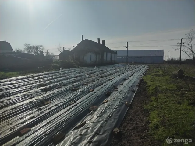 Eladó mezőgazdasági ingatlan Mezőberény 4300 nm