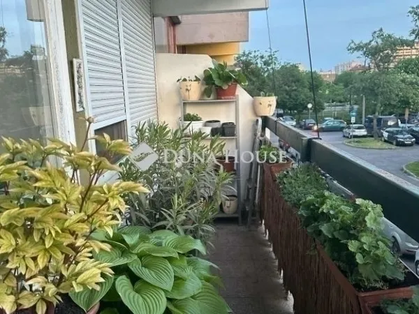 Eladó lakás Budapest XX. kerület 55 nm