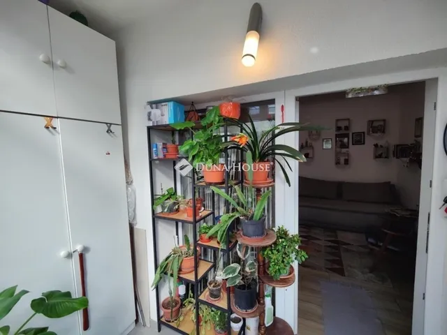 Eladó lakás Nagytarcsa 37 nm